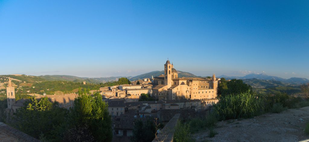 19 Urbino