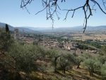 40 Assisi z olivové zahrady na kopci