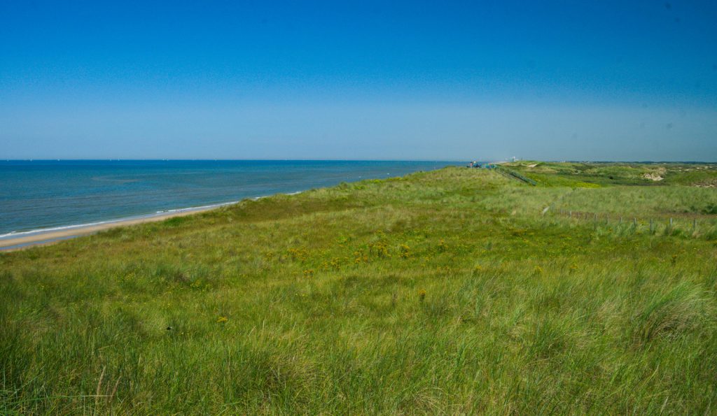 moře a travou porostlé duny v rezervaci Noordvoort